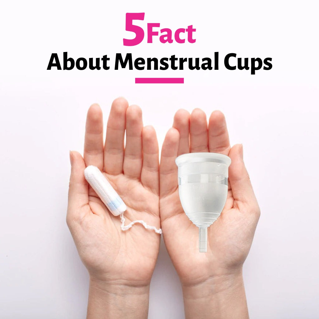 5 Fact About Menstrual Cups